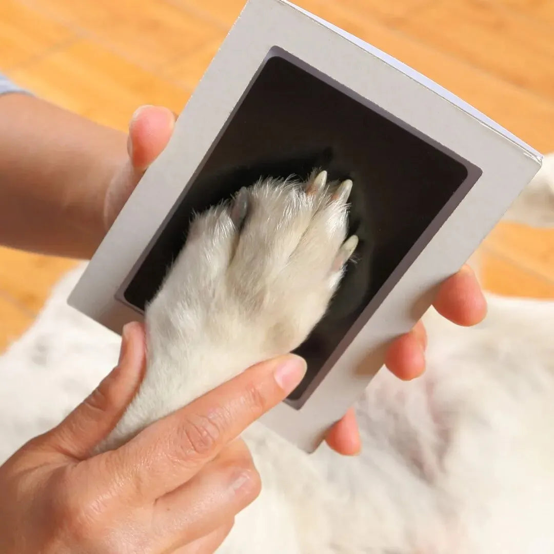 Kit de Huella sin Tinta para Perros y Gatos – Recuerdo Personalizado